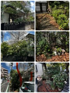 空き家、庭木伐採